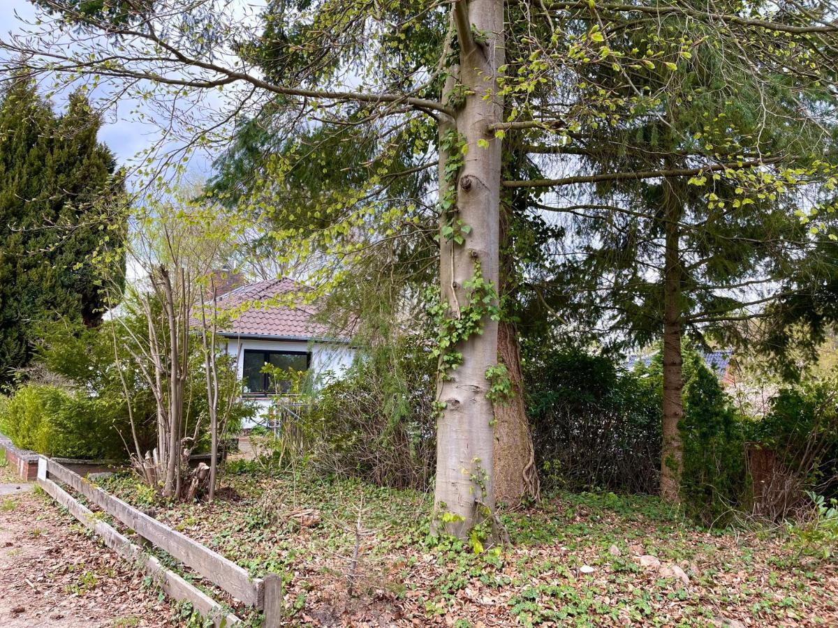 Ferienwohnung Hitzacker/Elbe Exteriér fotografie